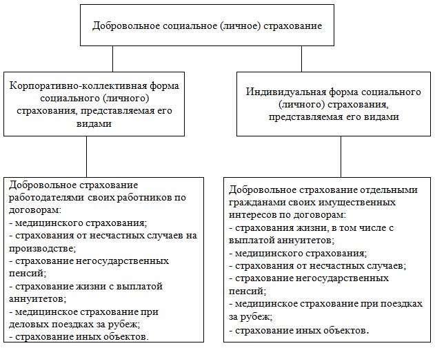 Страховая курсовая