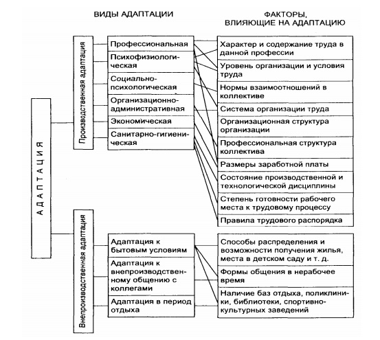 Виды адаптации психофизиологическая психологическая социальная