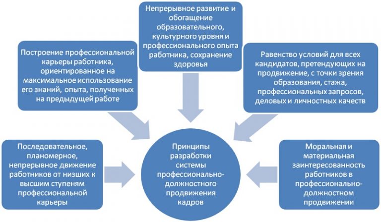 Кадровый Актив. Кадровый Актив организации это. Принцип профессионального и должностного продвижения кадров. Должностное продвижение работников.